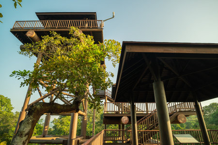 Beautiful landscape view of the Observation towers in Putrajaya Wetlands Park.