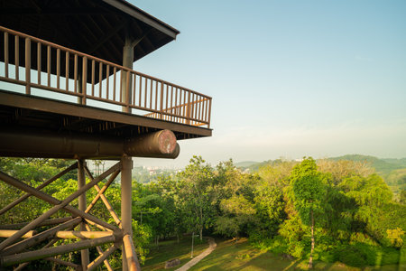 Beautiful landscape view of the Observation towers in Putrajaya Wetlands Park.の写真素材