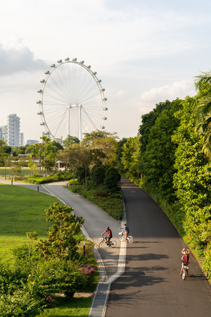 Singapore - August 29,2023 : A family can seen cycling at the Gardens By The Bay with the background Singapore flyer which is a 165-metre-high observation wheel.のeditorial素材
