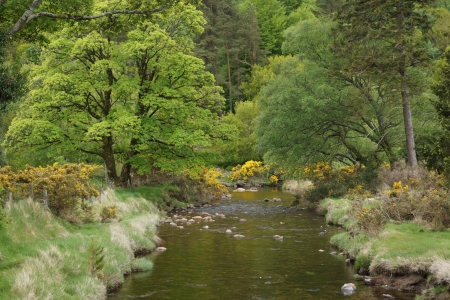 Glendalough riverの写真素材