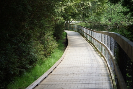 beautiful pathway in Glendaloughの写真素材