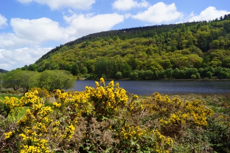 Lovely view of Glendalough lakeの写真素材