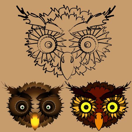 The heads of owls. Cartoon head sovyat in three versions.のイラスト素材