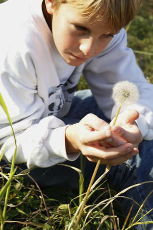 Child admiring natureの写真素材