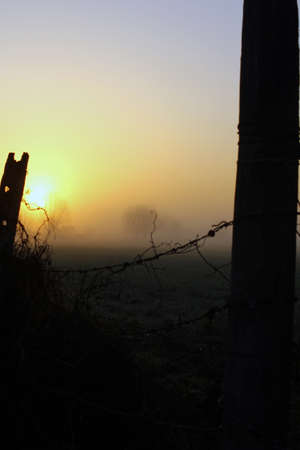 Sunrise in the fieldの写真素材