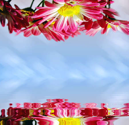Pink flowers on sky, reflectedの写真素材