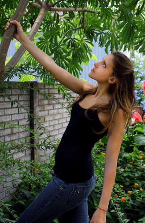 women and the tree, wall,ecologyの写真素材