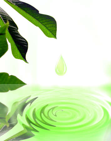 Droplet falling from green leafの写真素材