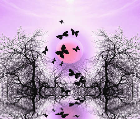 the sun rose in the branches of treesの写真素材