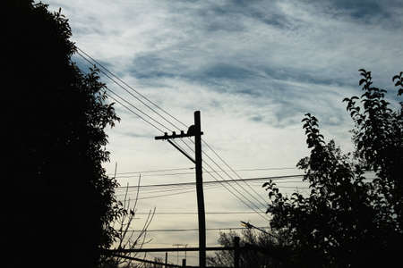 Bird s Nestの写真素材