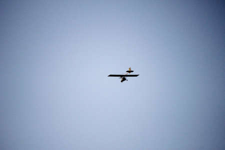 plane in the clear sky