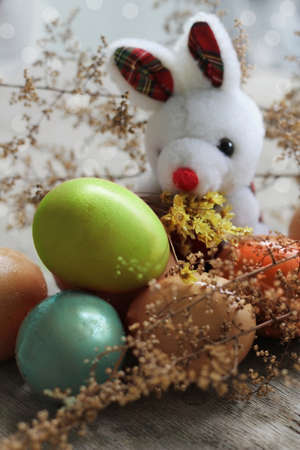 easter bunny behind the colored eggs among grasses