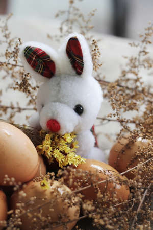 easter bunny eggs among grassesの写真素材