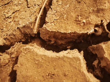 Cracked earth