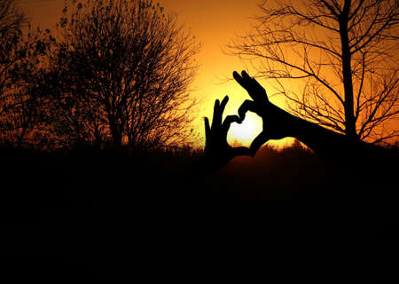 hands forming a heart shape in the sunsetの写真素材