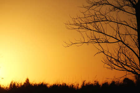 Countryside at sunset on a sunny cloudless dayの写真素材