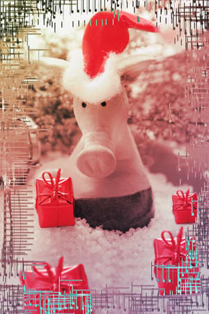 christmasの写真素材
