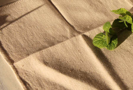 His napkin rustic mintの写真素材