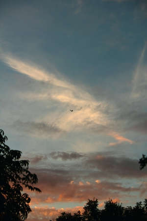 Small airplane in the vast sunset sky with cloudsの写真素材