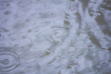 raindrops on the surface of the water close-up macro photography