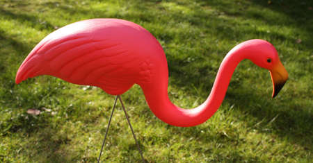lawn flamingo in the gardenの写真素材