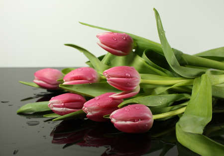 bouquet of tulipsの写真素材