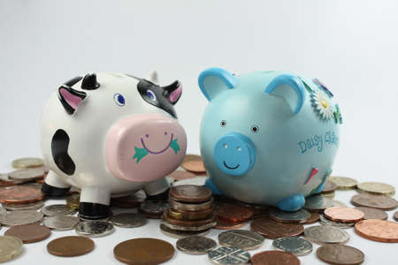 piggy and cow on coinsの写真素材
