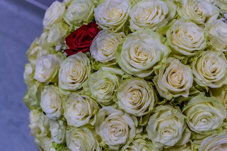 Closeup of large bouquet of white roses with a red rose in the centerの写真素材