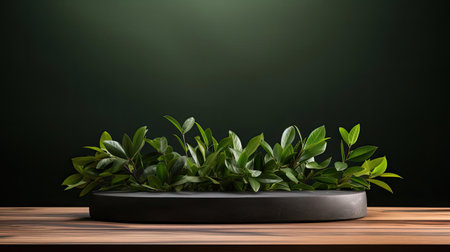 podium for product stand with plant background and cinematic light, front view, minimalist designの素材
