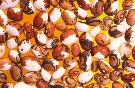 Multi-coloured food string bean on an orange background