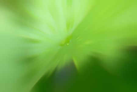 green backgroundの写真素材