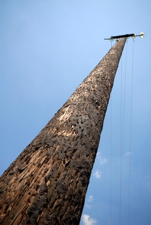 wooden column of an electric main on  background of  skyの写真素材