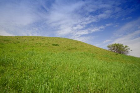Early spring in steppes,  hill covered with  green grassの写真素材