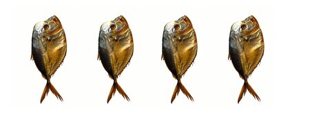 Four golden smoked fishes isolated on  white background