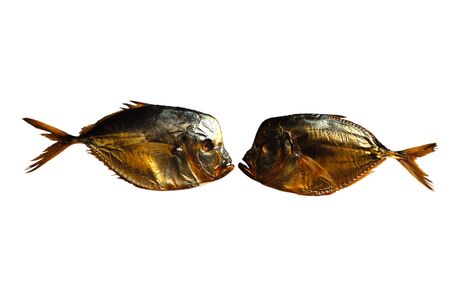 Pair golden color of sea fishes located towards to each other isolated on  white background