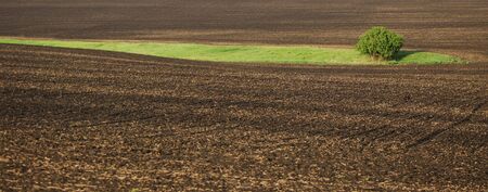 ploughed up field and lawn of a green grass and lonely treeの写真素材