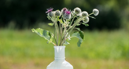 vase and natural flowers outside in a bright sunny dayの写真素材
