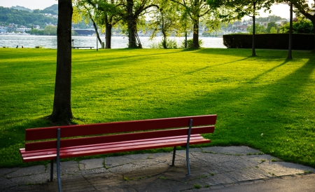 A bench in a park on the shore of Lake Lucerne  Switzerlandの写真素材