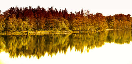 landscape, mixed forest along the river, reflected in waterの写真素材