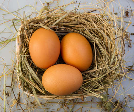 three chicken brown eggs in straw on gray backgroundの写真素材