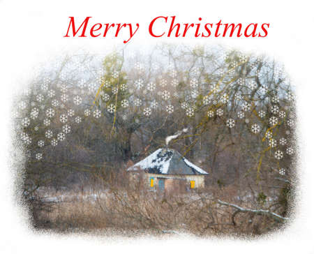 text on the image Congratulations Merry Christmasの写真素材