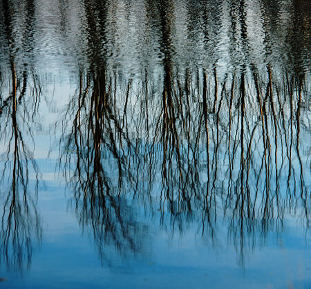 groups of trees reflected in the waters of the river, the fall seasonの写真素材