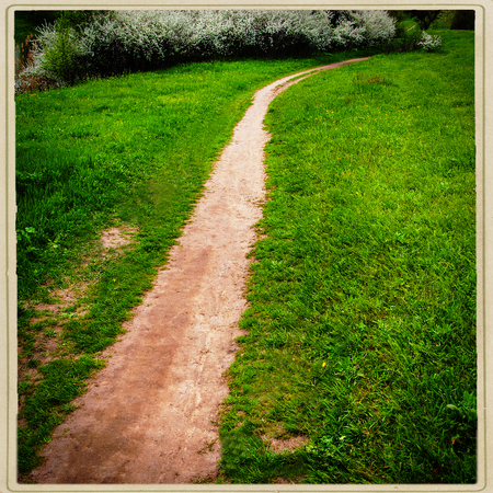 walking trail in the park, spring seasonの写真素材