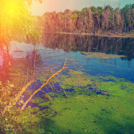 rural landscape, river forest and blue sky with clouds