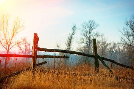 old wooden fence on a blurred background of autumn forestの写真素材