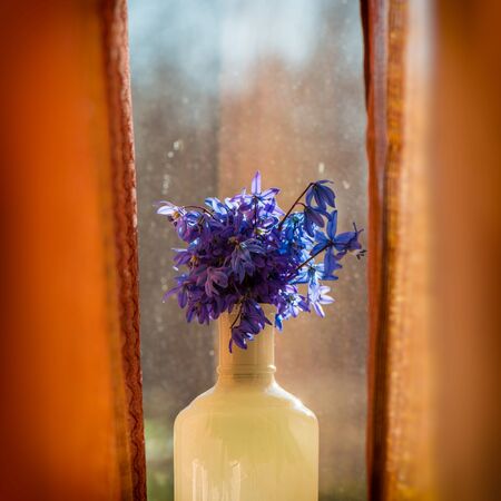 bouquet of purple flowers on the window on a sunny dayの写真素材