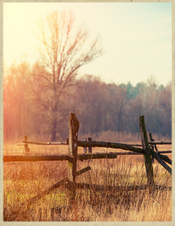 old wooden fence on a blurred background of autumn forestの写真素材