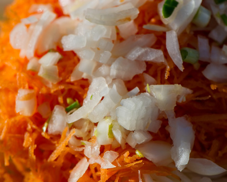Ingredients for the salad onions and carrots summer in the villageの写真素材