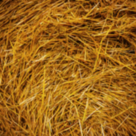 dry straw countryside blurred backgroundの写真素材