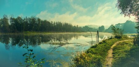 landscape with trees foggy morning at the river in the countrysideの写真素材